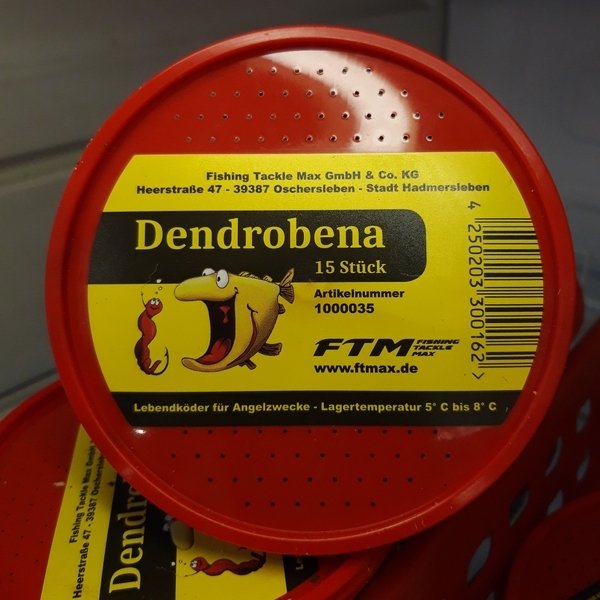 Dendrobena - 15er
